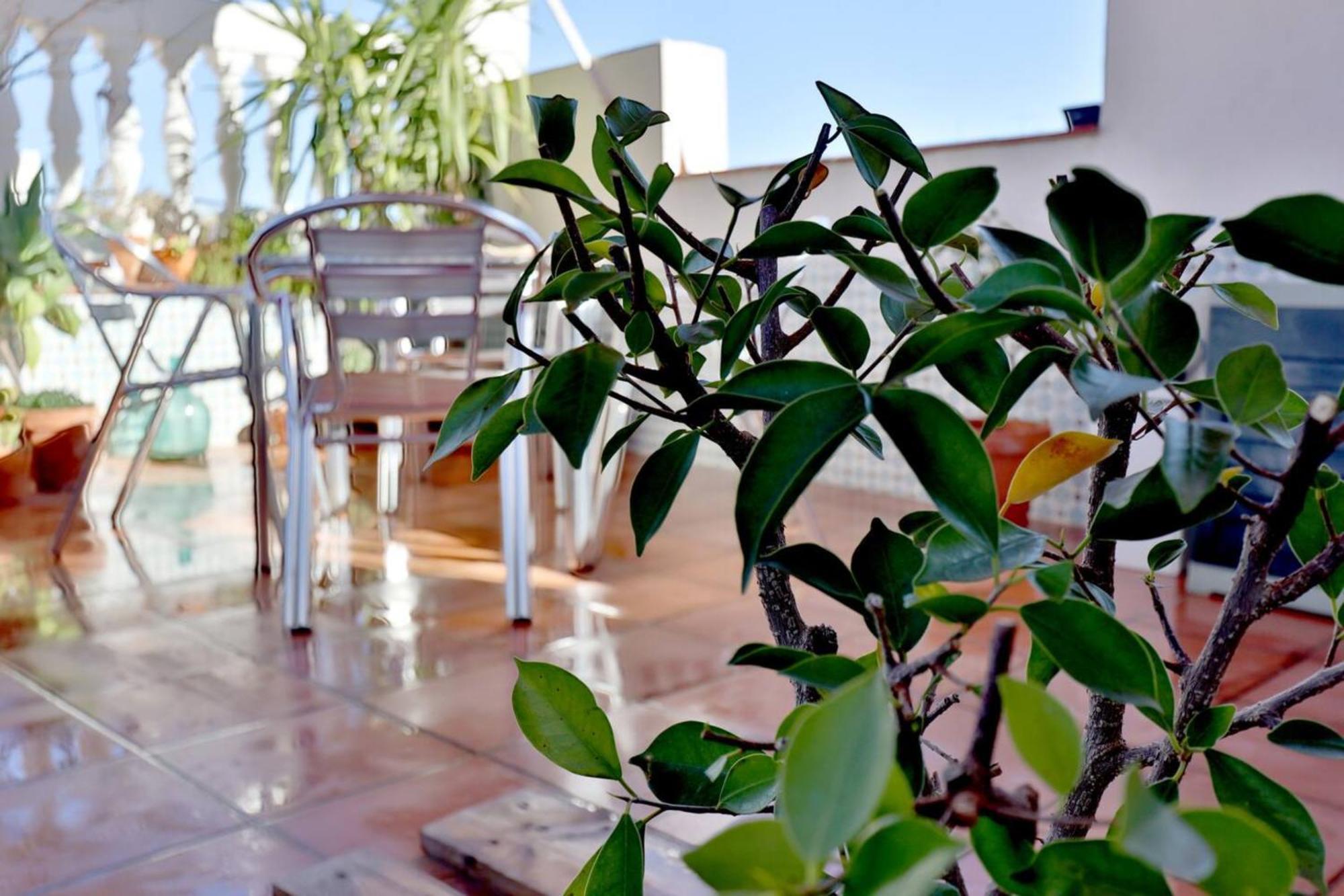 شقة Atico Con Terraza En Pleno Centro قرطبة المظهر الخارجي الصورة